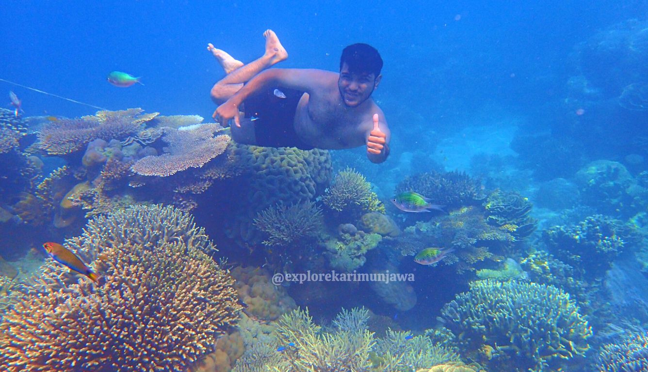 trip karimunjawa dari surabaya