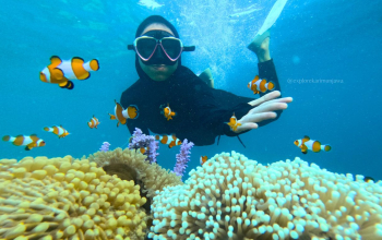 snorkeling karimunjawa