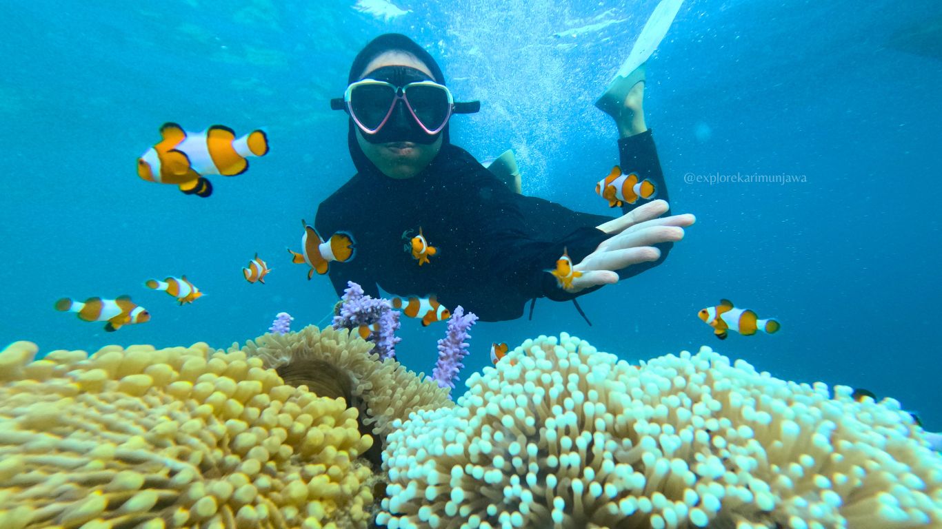 snorkeling karimunjawa