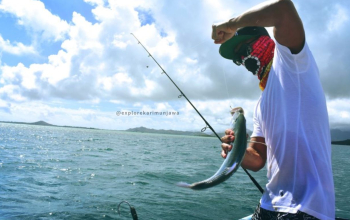 mancing karimunjawa